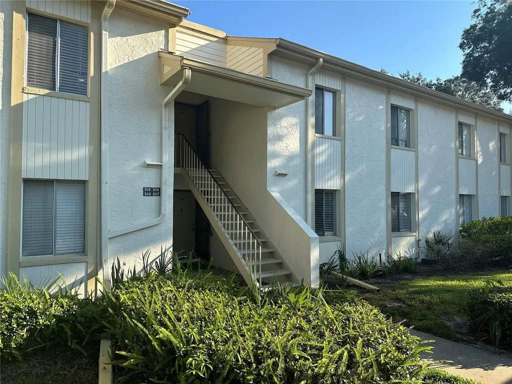 207 Palmetto Court Oldsmar FL 34677