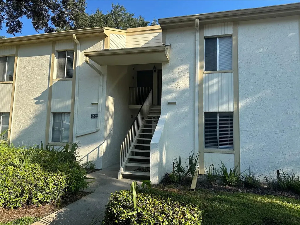 207 Palmetto Court Oldsmar FL 34677