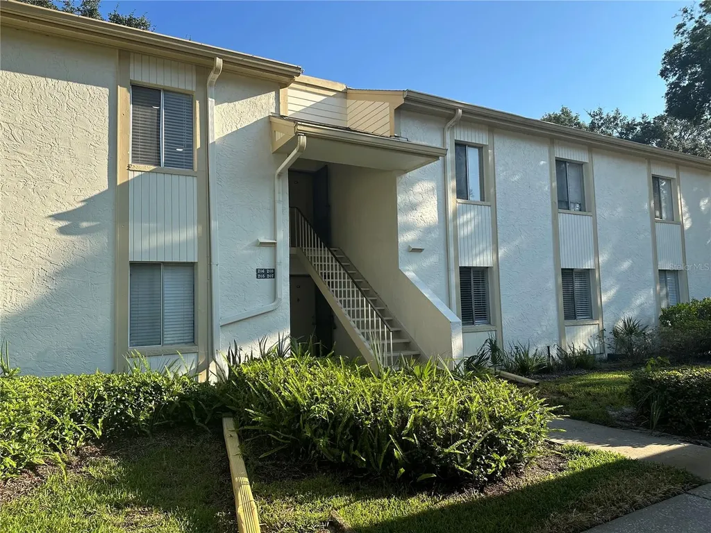 207 Palmetto Court Oldsmar FL 34677