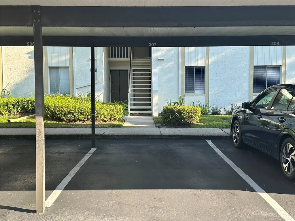 207 Palmetto Court Oldsmar FL 34677