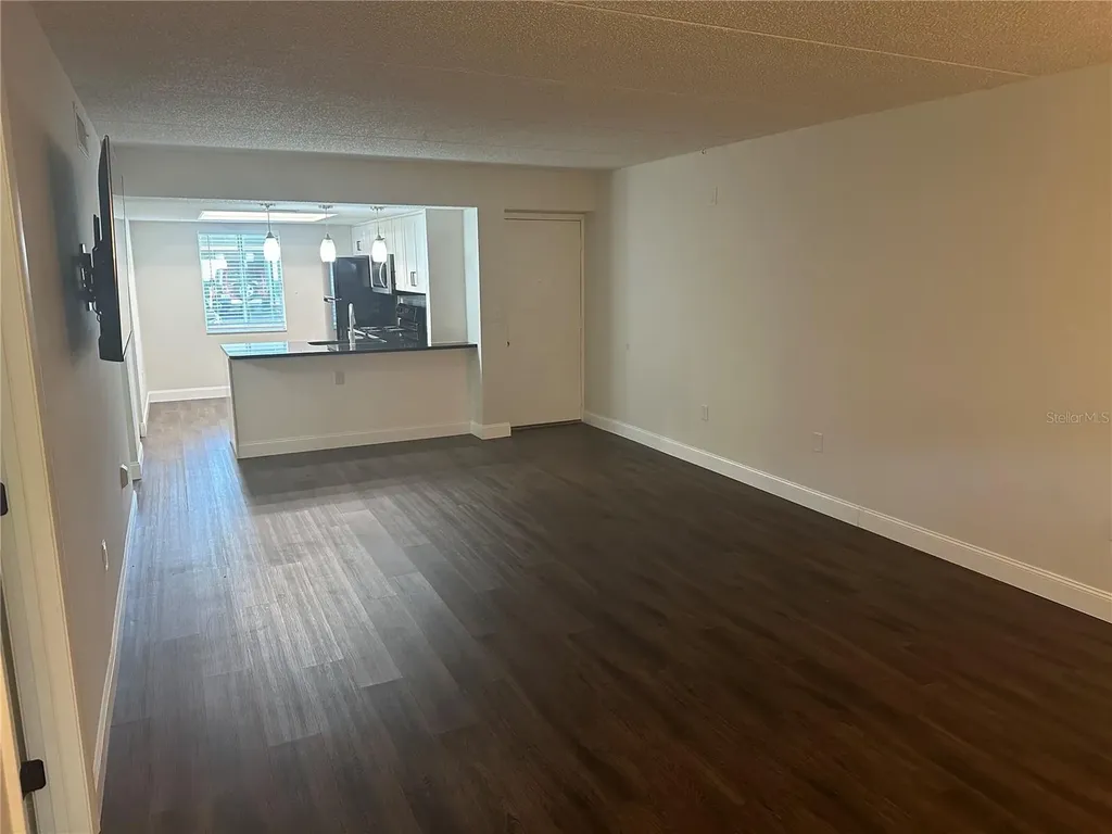 207 Palmetto Court Oldsmar FL 34677