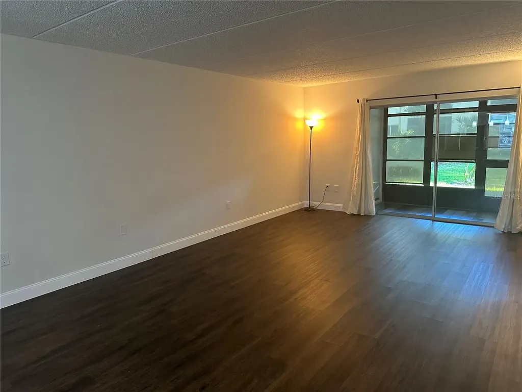 207 Palmetto Court Oldsmar FL 34677