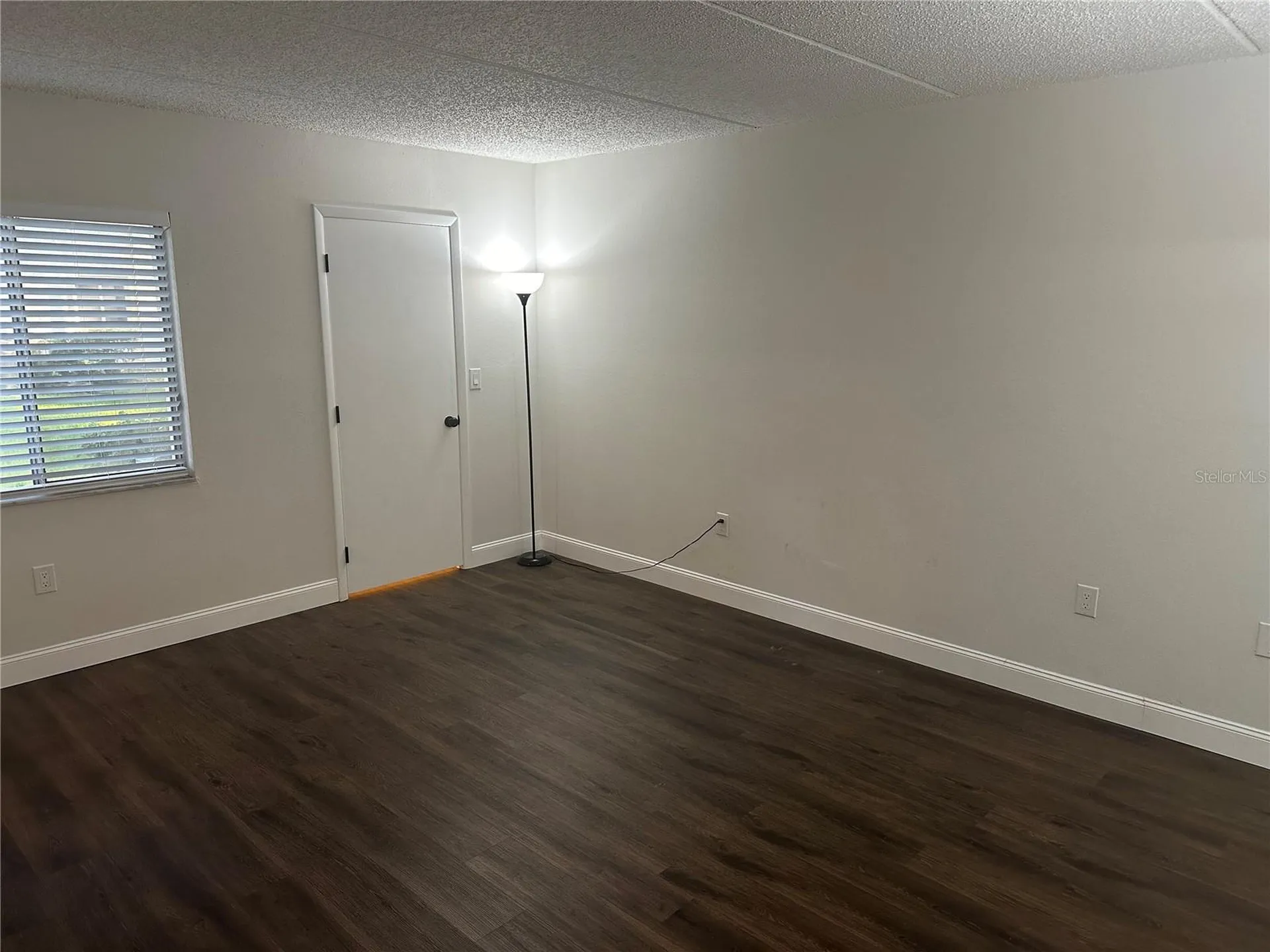 207 Palmetto Court Oldsmar FL 34677