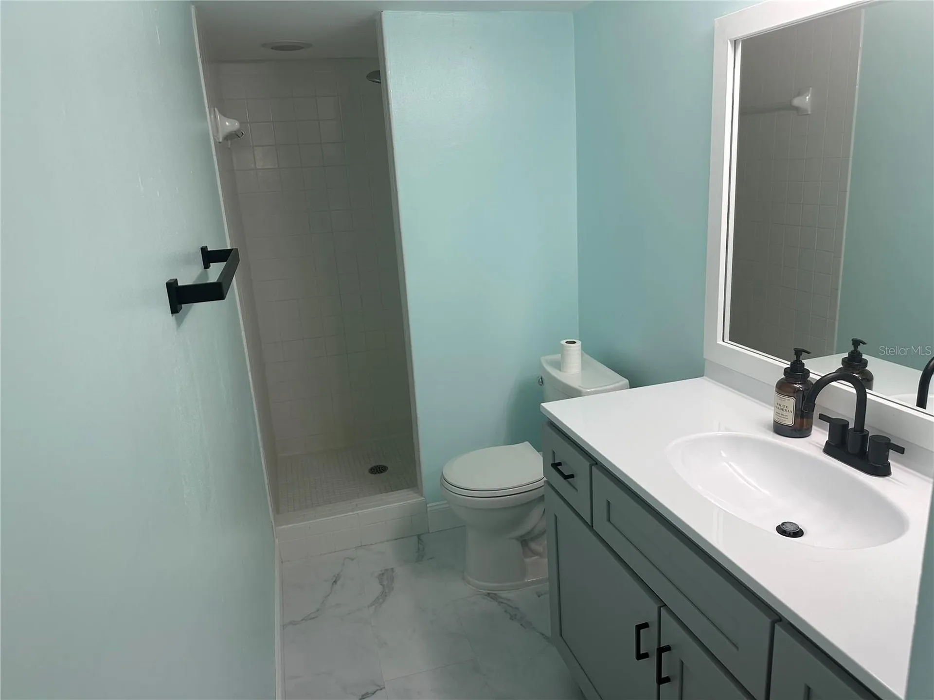 207 Palmetto Court Oldsmar FL 34677