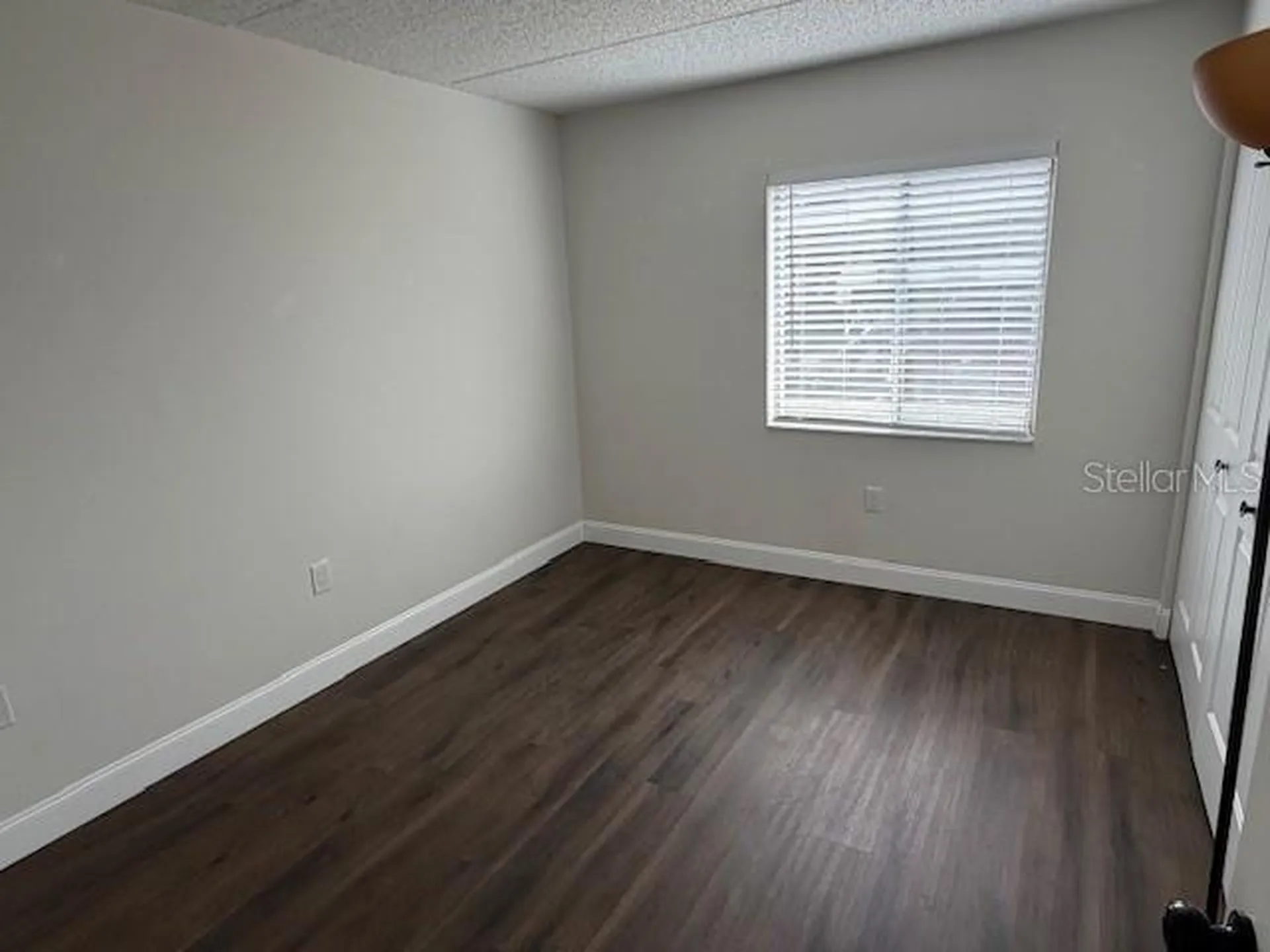 207 Palmetto Court Oldsmar FL 34677