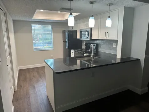 207 Palmetto Court Oldsmar FL 34677