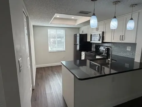207 Palmetto Court Oldsmar FL 34677