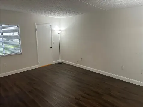 207 Palmetto Court Oldsmar FL 34677