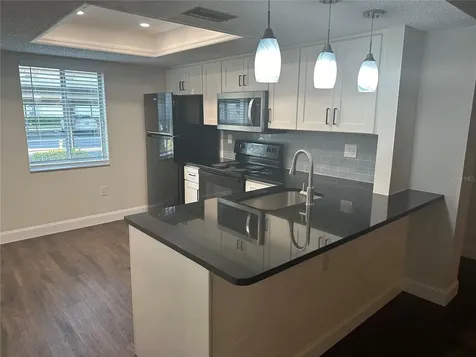 207 Palmetto Court Oldsmar FL 34677