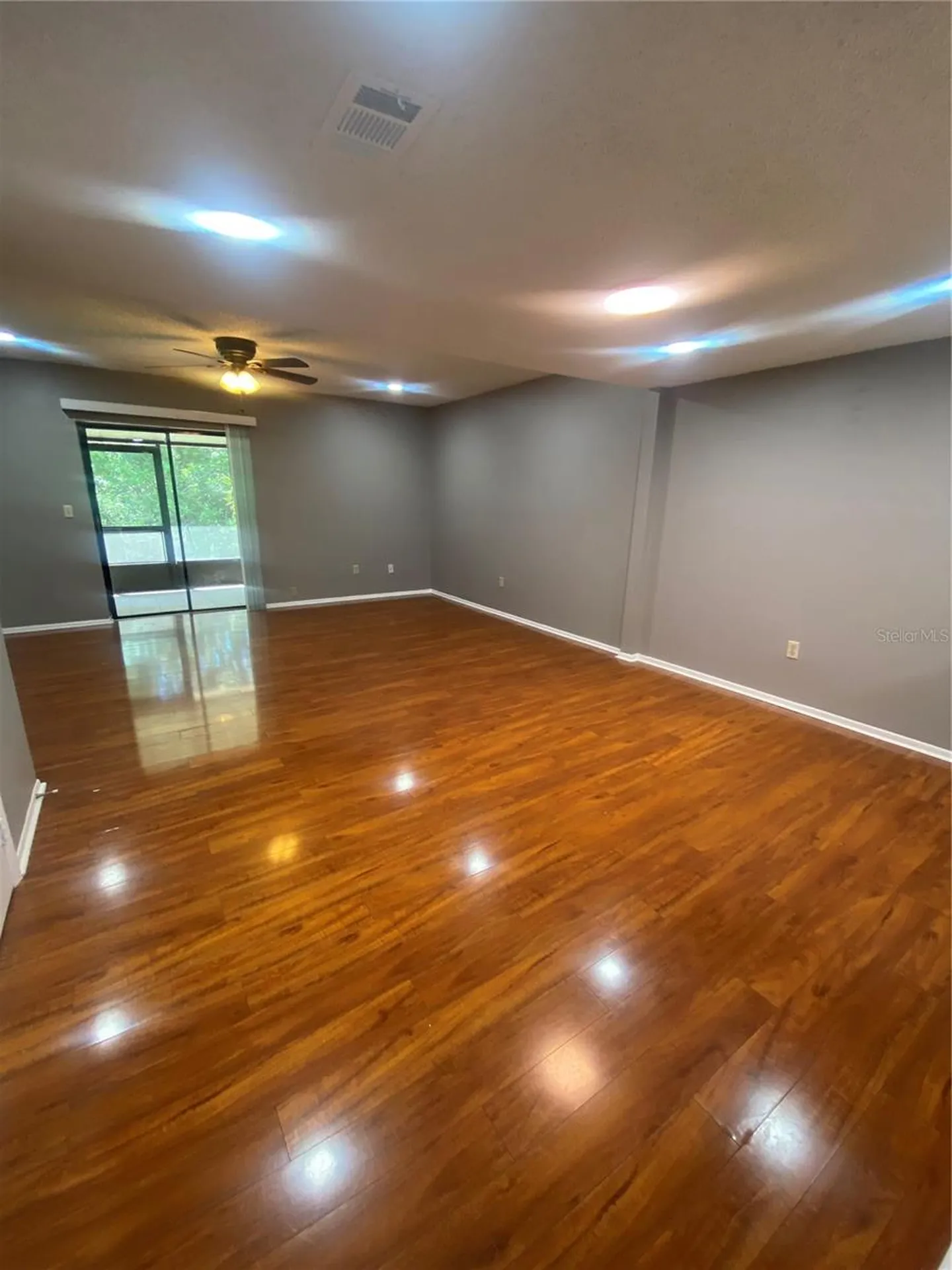 10125 Lake Oak Circle Tampa FL 33624