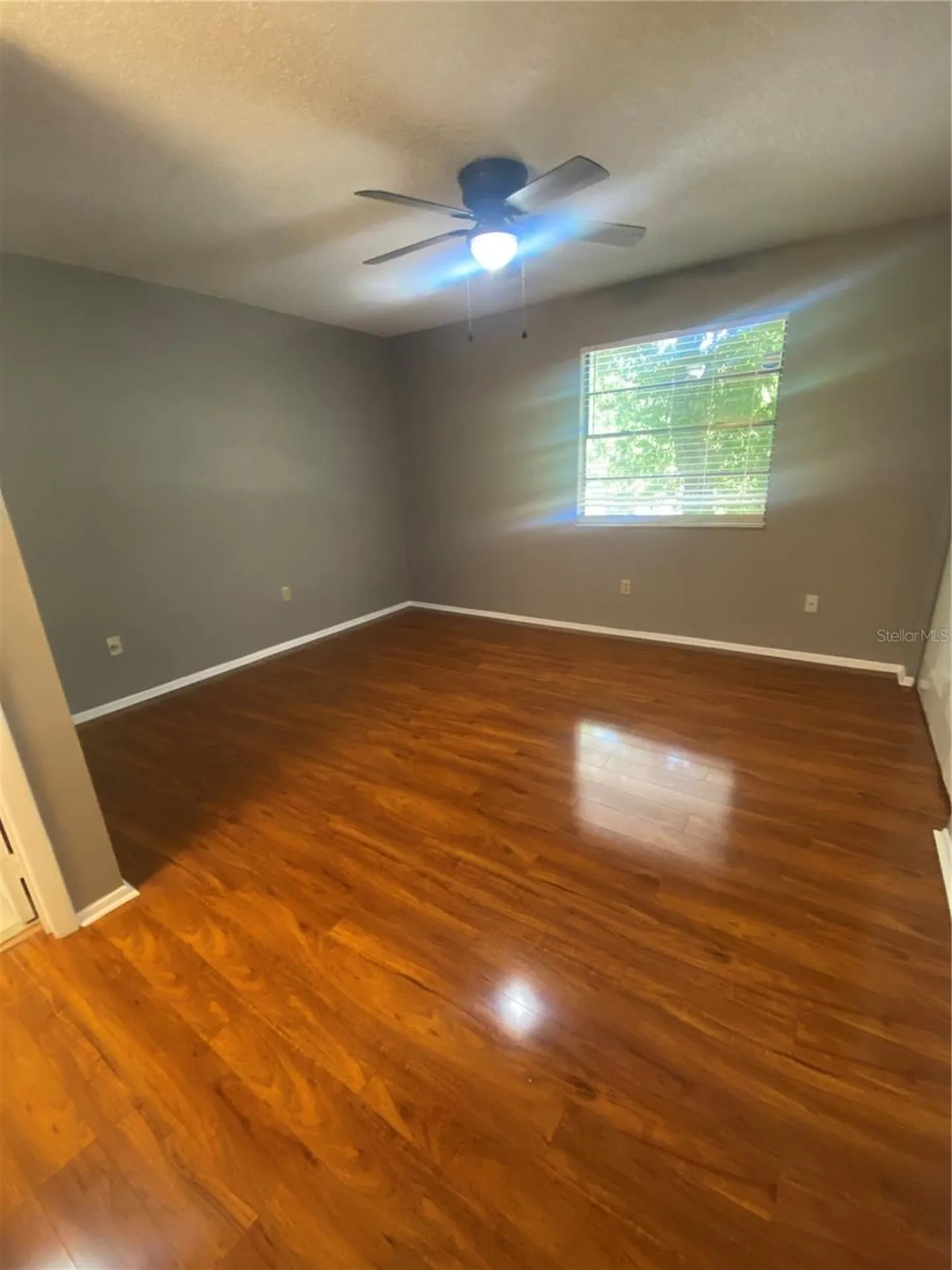 10125 Lake Oak Circle Tampa FL 33624