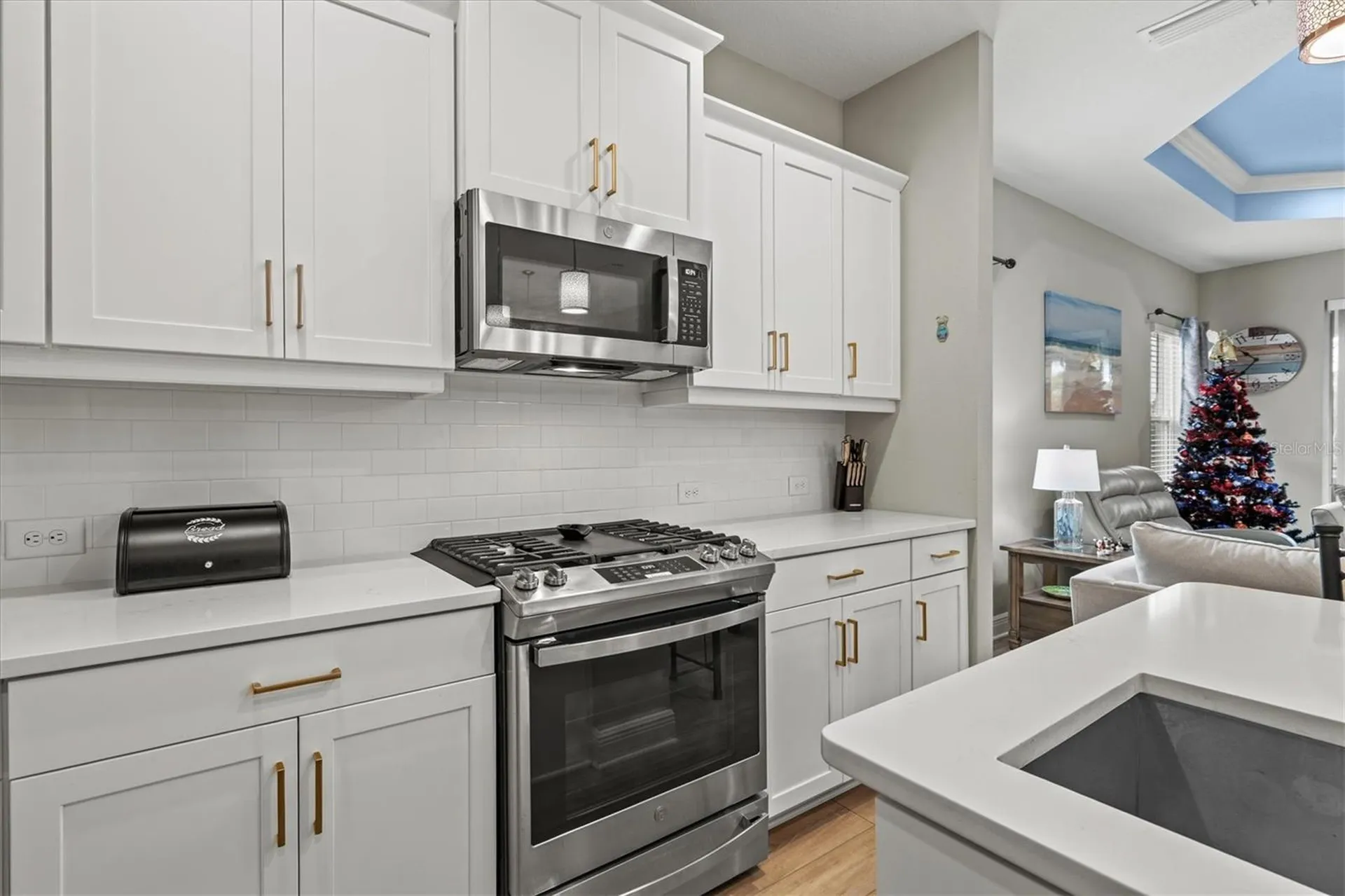 2918 Butterfly Jasmine Trail Sarasota FL 34240