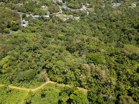 165 Km 7.3 Bo Galateo Toa Alta PR 00953