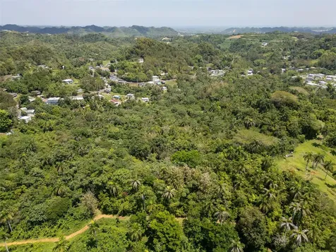 165 Km 7.3 Bo Galateo Toa Alta PR 00953