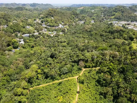 165 Km 7.3 Bo Galateo Toa Alta PR 00953