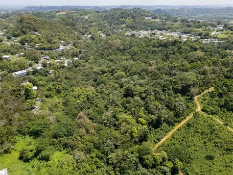 165 Km 7.3 Bo Galateo Toa Alta PR 00953