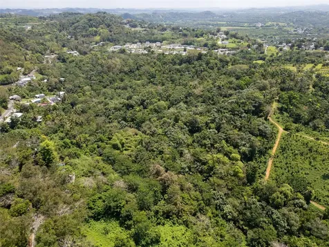 165 Km 7.3 Bo Galateo Toa Alta PR 00953