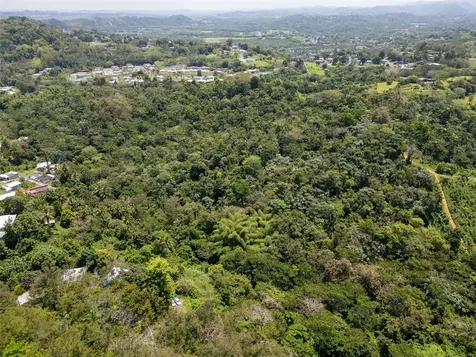165 Km 7.3 Bo Galateo Toa Alta PR 00953