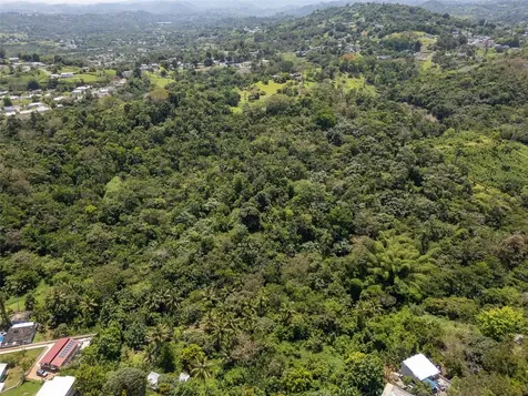 165 Km 7.3 Bo Galateo Toa Alta PR 00953