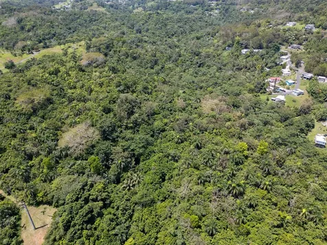 165 Km 7.3 Bo Galateo Toa Alta PR 00953