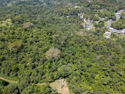 165 Km 7.3 Bo Galateo Toa Alta PR 00953