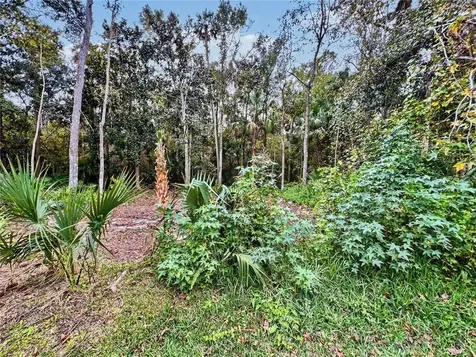 839 Lake Evalyn Drive Celebration FL 34747