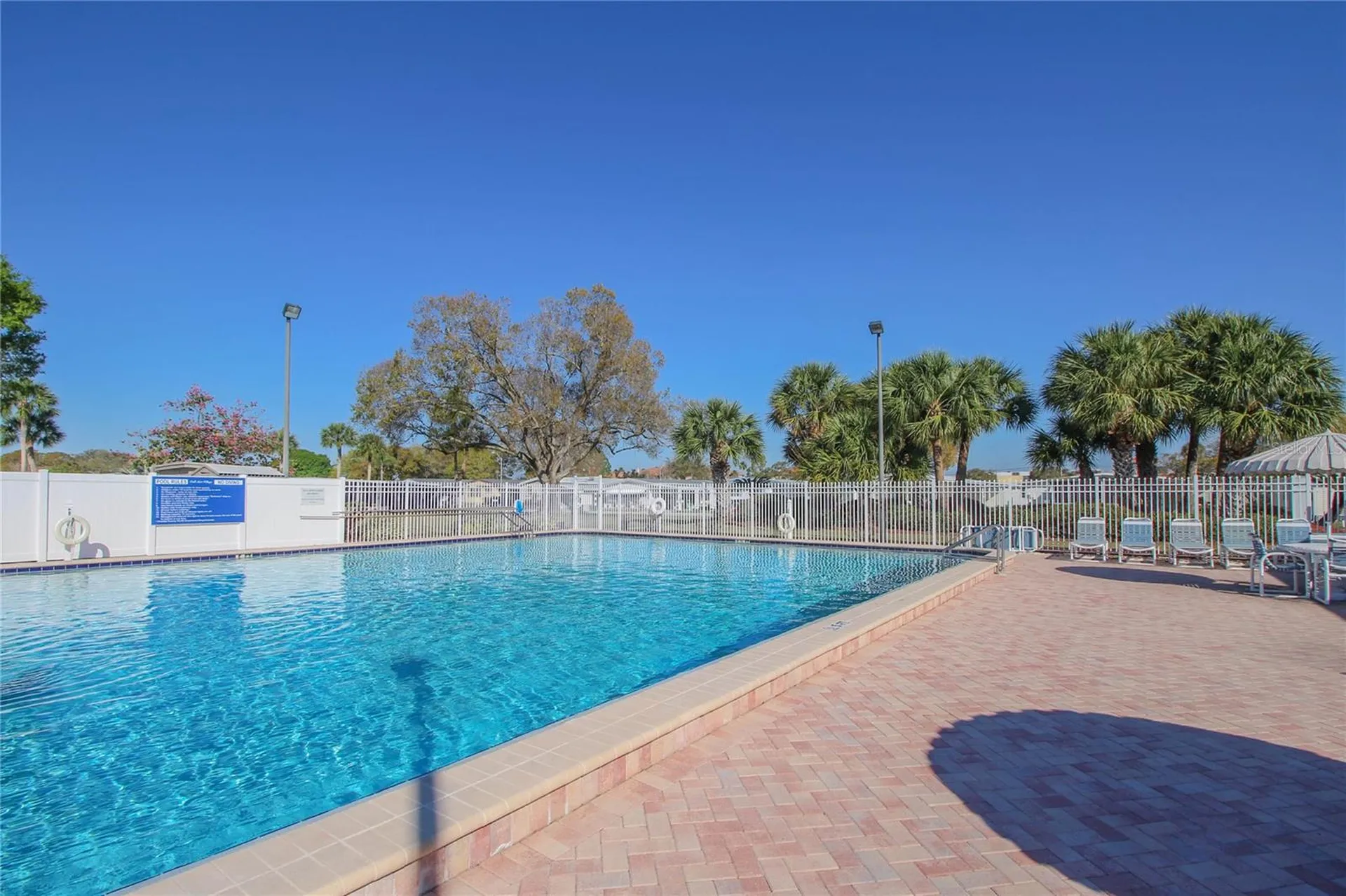 138 Blue Marlin Drive Oldsmar FL 34677