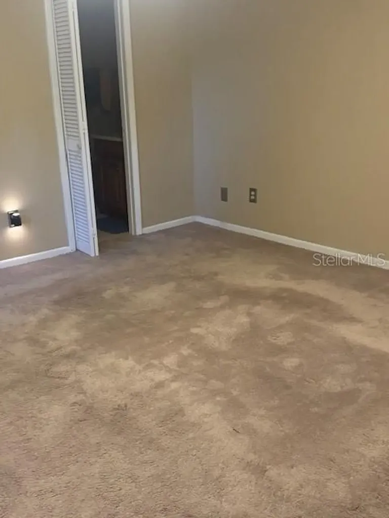 12709 Tall Pine Drive Tampa FL 33625