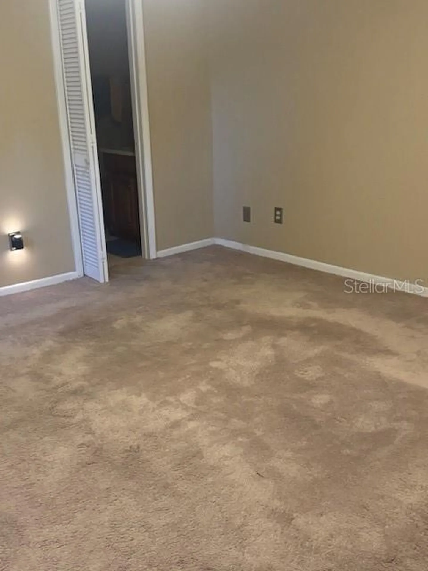 12709 Tall Pine Drive Tampa FL 33625