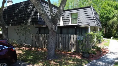 12709 Tall Pine Drive Tampa FL 33625