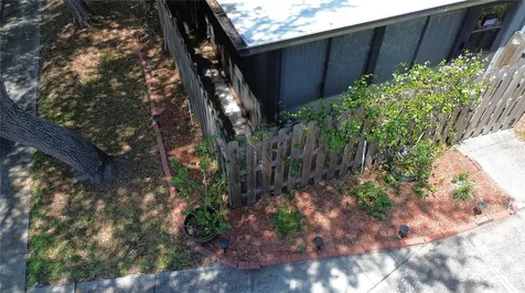 12709 Tall Pine Drive Tampa FL 33625