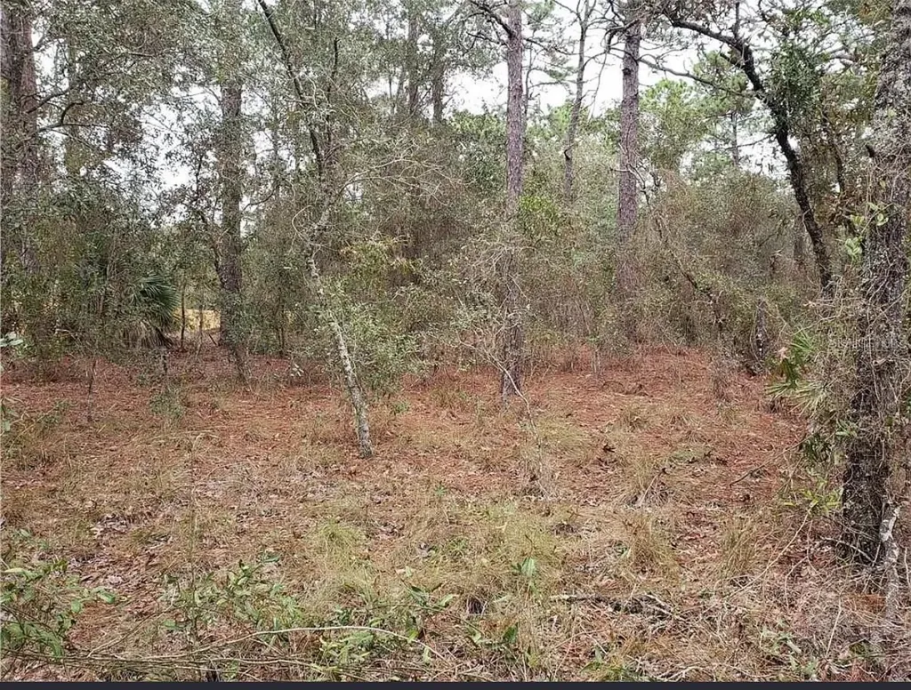 0 Horn Avenue Brooksville FL 34613