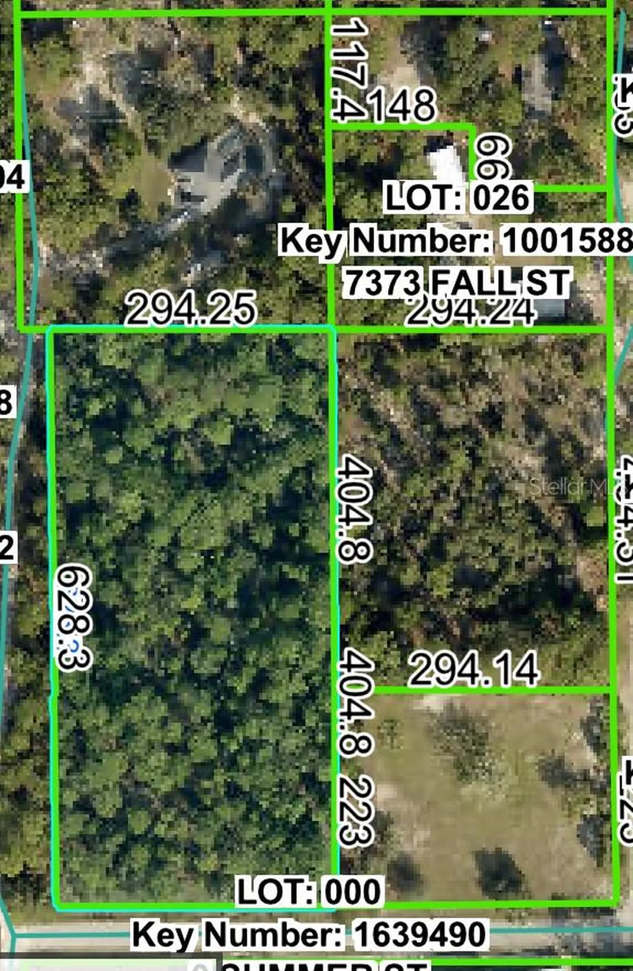 0 Horn Avenue Brooksville FL 34613