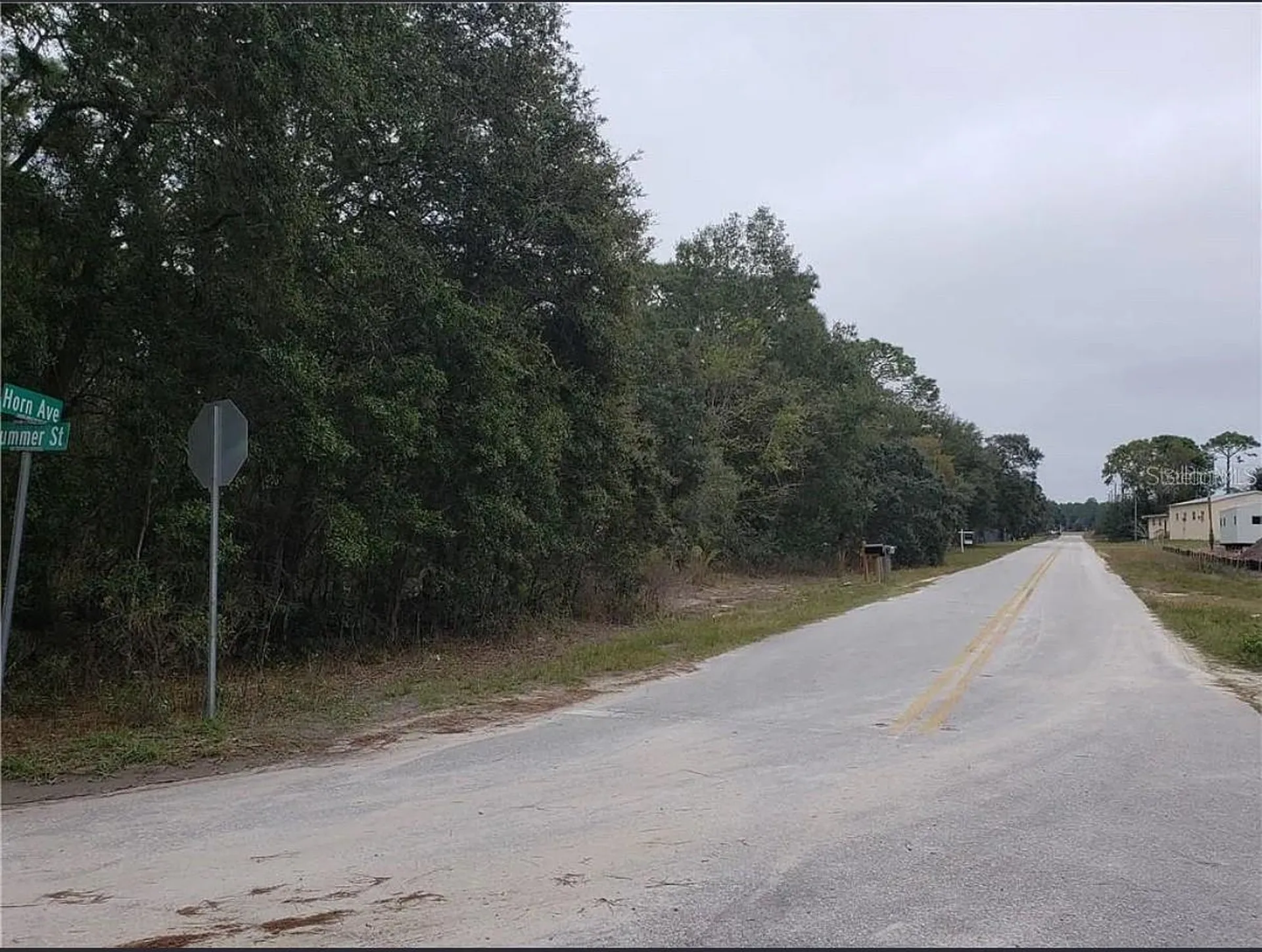 0 Horn Avenue Brooksville FL 34613