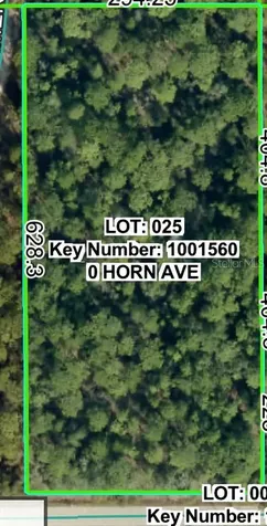 0 Horn Avenue Brooksville FL 34613