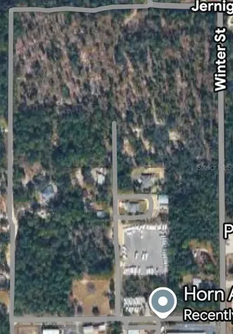 0 Horn Avenue Brooksville FL 34613