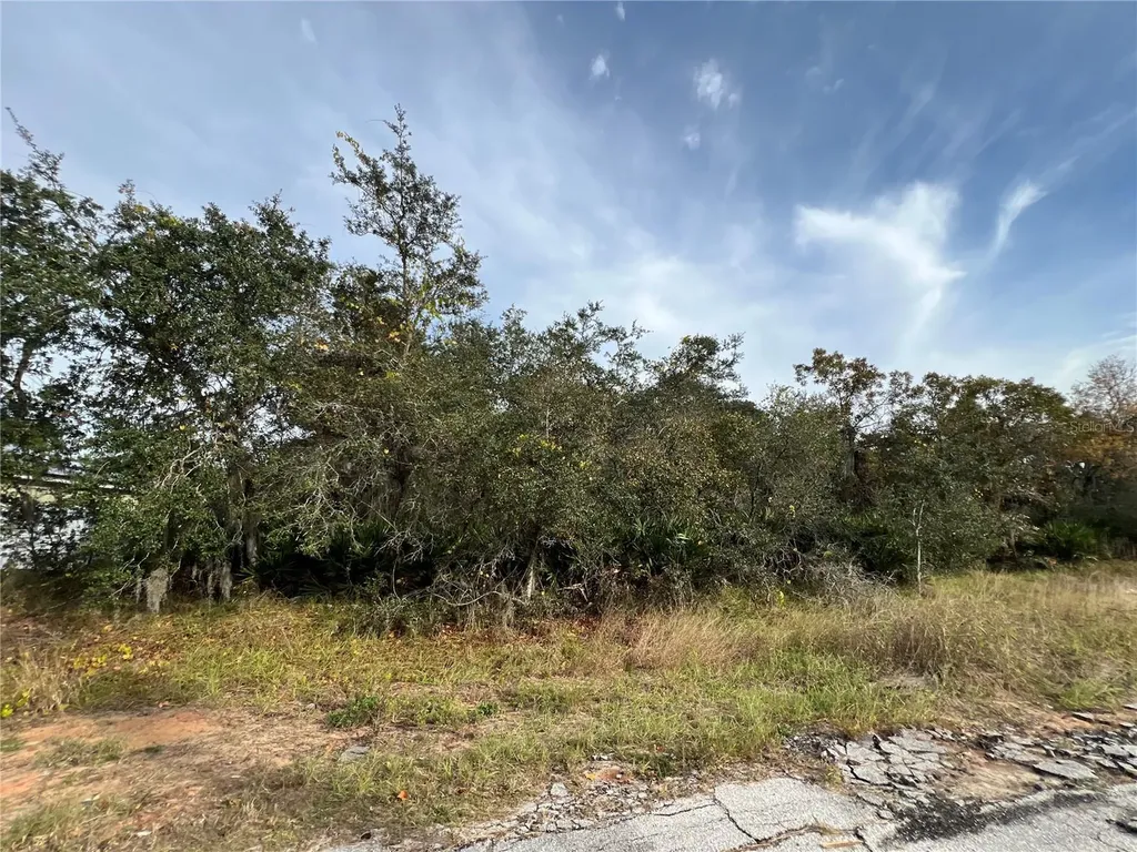 1205 Alafia Way Kissimmee FL 34759