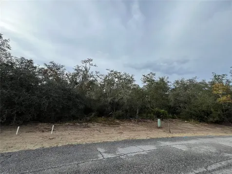 1633 Pickerel Court Kissimmee FL 34759