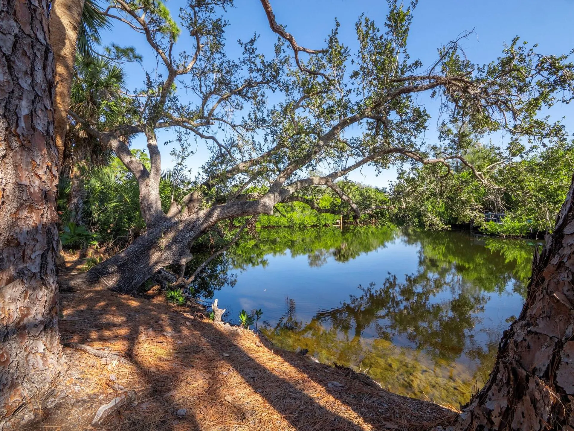7233 Pine Needle Road Sarasota FL 34242
