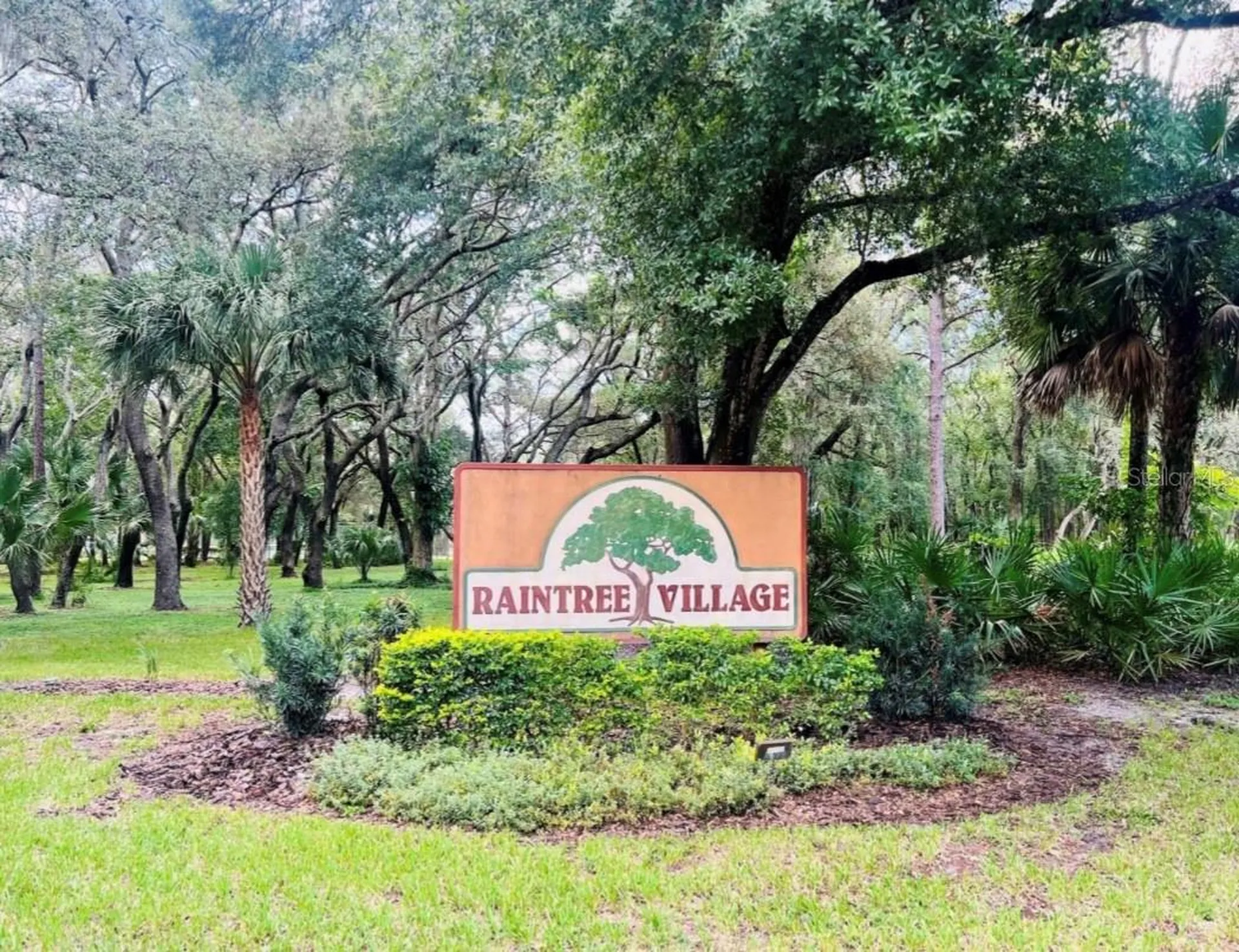 11707 Raintree Village Boulevard Temple Terrace FL 33617