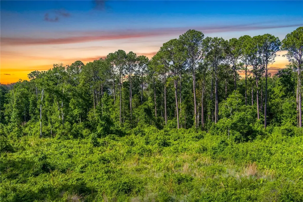 3201 E Raulerson Road St Augustine FL 32092