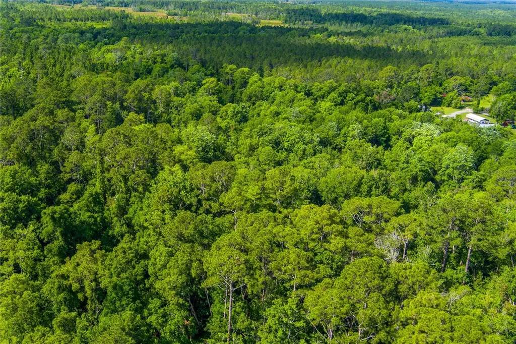 3201 E Raulerson Road St Augustine FL 32092