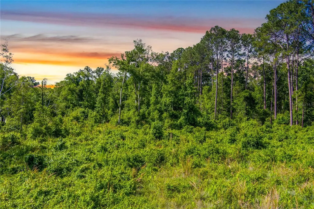 3201 E Raulerson Road St Augustine FL 32092