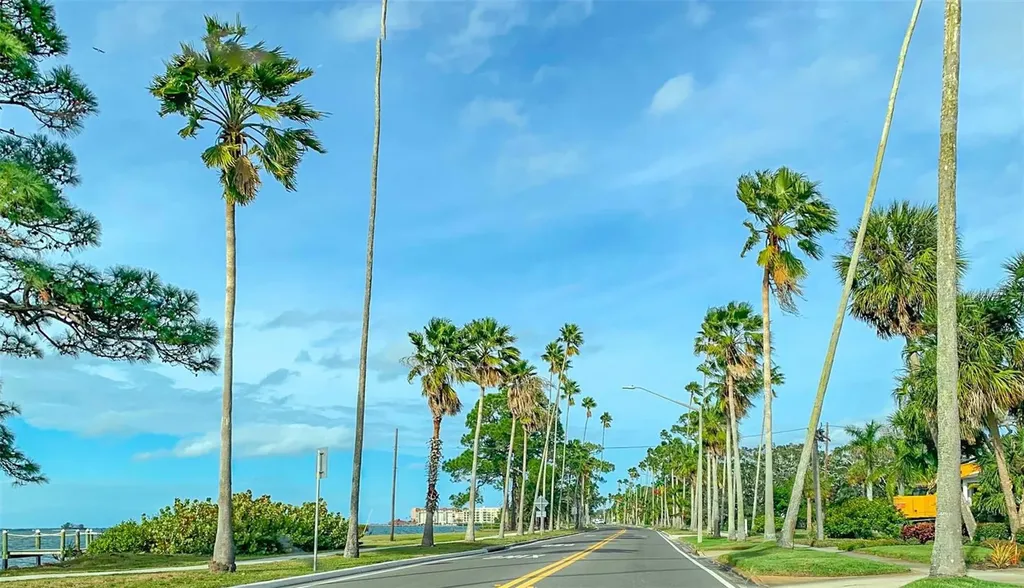 708 Lyndhurst Dunedin FL 34698