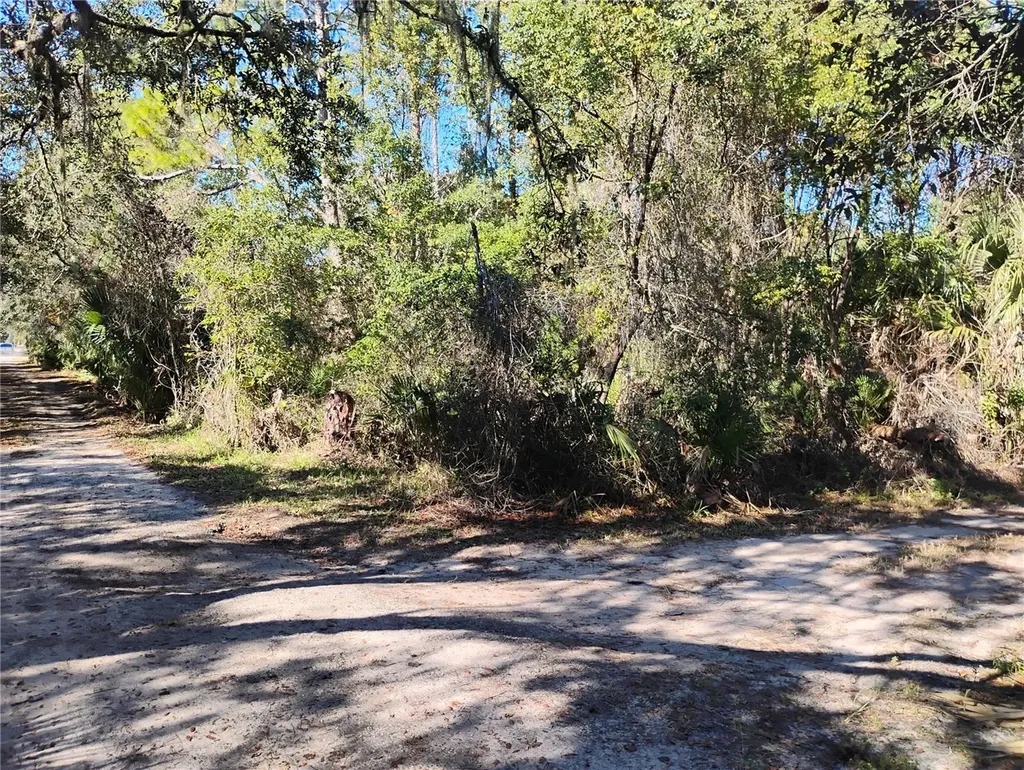 Marie Avenue Deland FL 32720