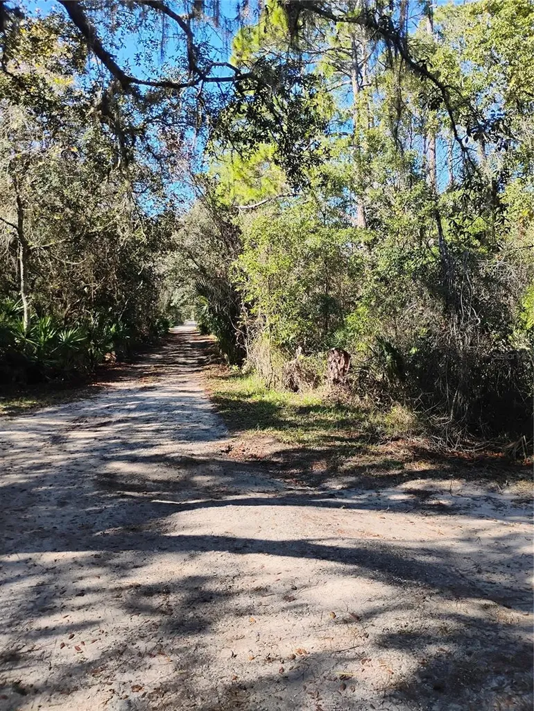 Marie Avenue Deland FL 32720