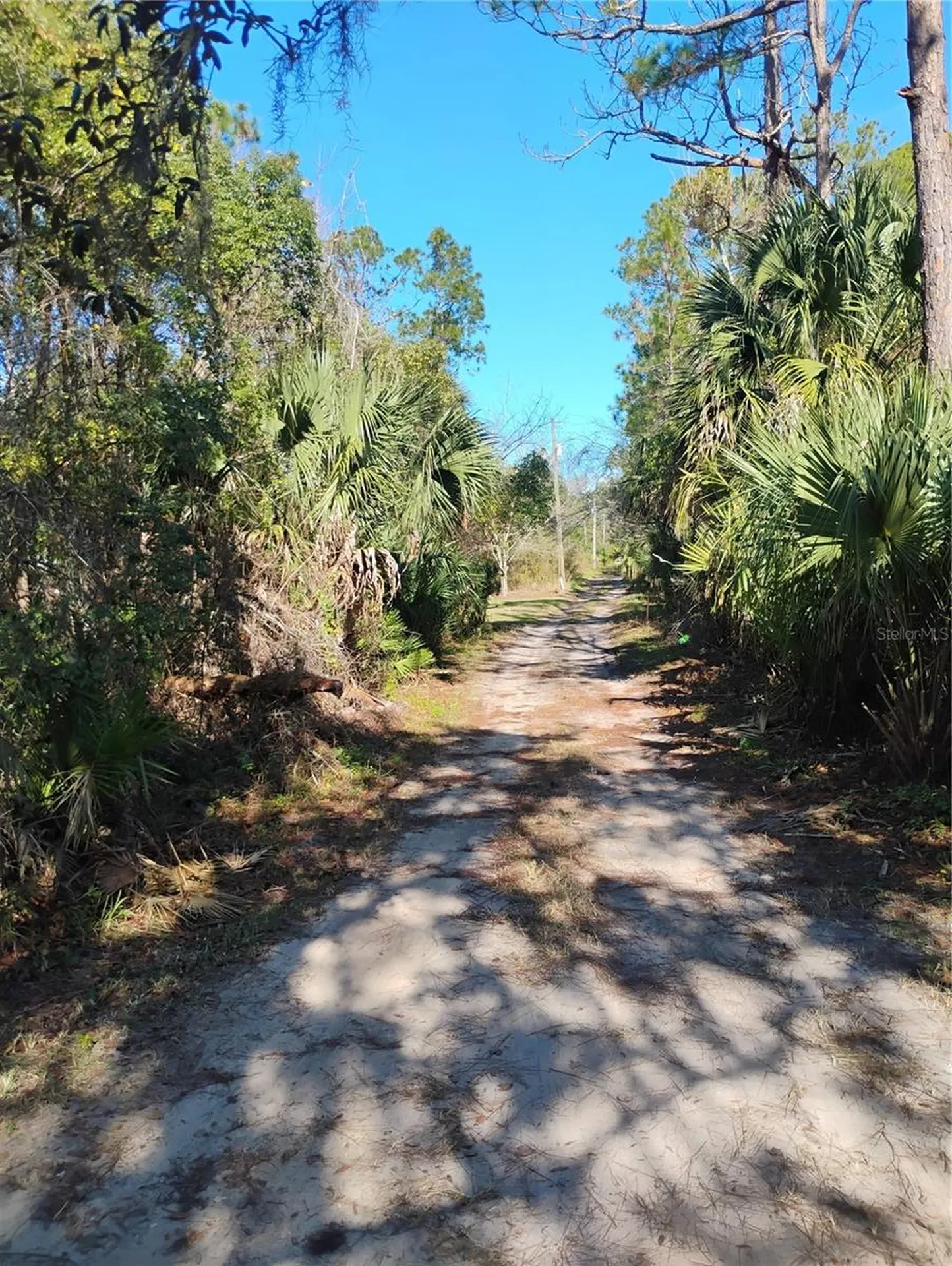 Marie Avenue Deland FL 32720