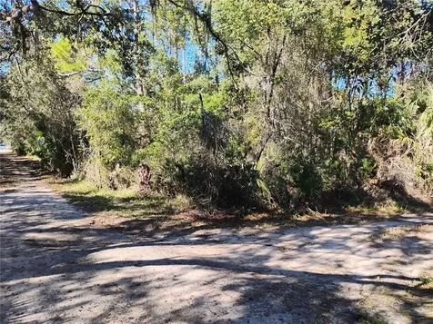 Marie Avenue Deland FL 32720