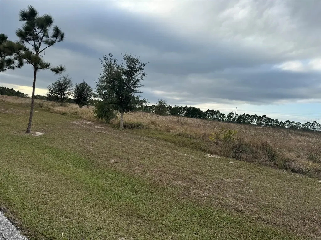 2060 Kennwood Grove Lane Auburndale FL 33823