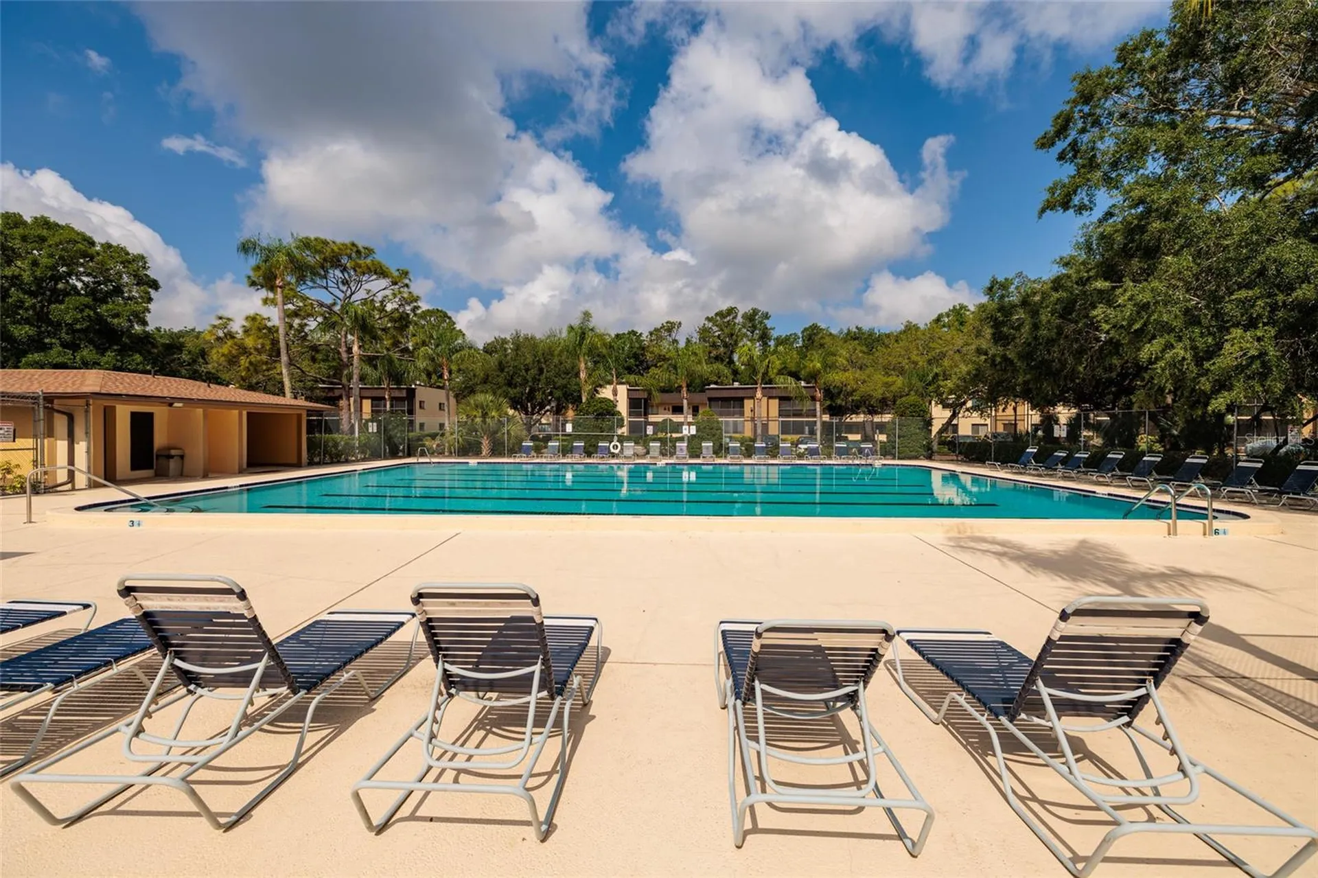 11708 Raintree Village Boulevard Temple Terrace FL 33617
